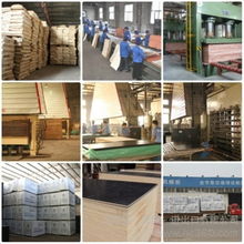 河北杨木芯建筑模板厂 建筑建材行业的优质选择